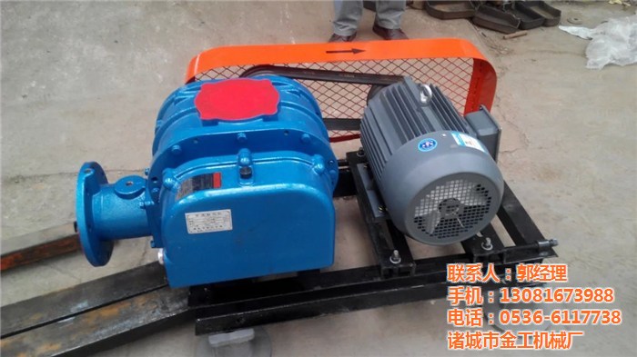 供應(yīng)密集羅茨鼓風(fēng)機 三葉羅茨風(fēng)機