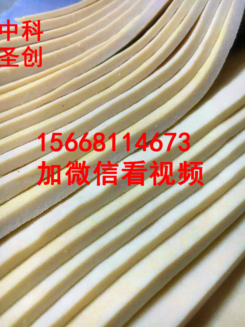 專業(yè)豆腐皮機(jī)，全自動(dòng)豆腐皮機(jī)器設(shè)備，干豆腐機(jī)器價(jià)格，廠家直銷，免費(fèi)技術(shù)培訓(xùn)