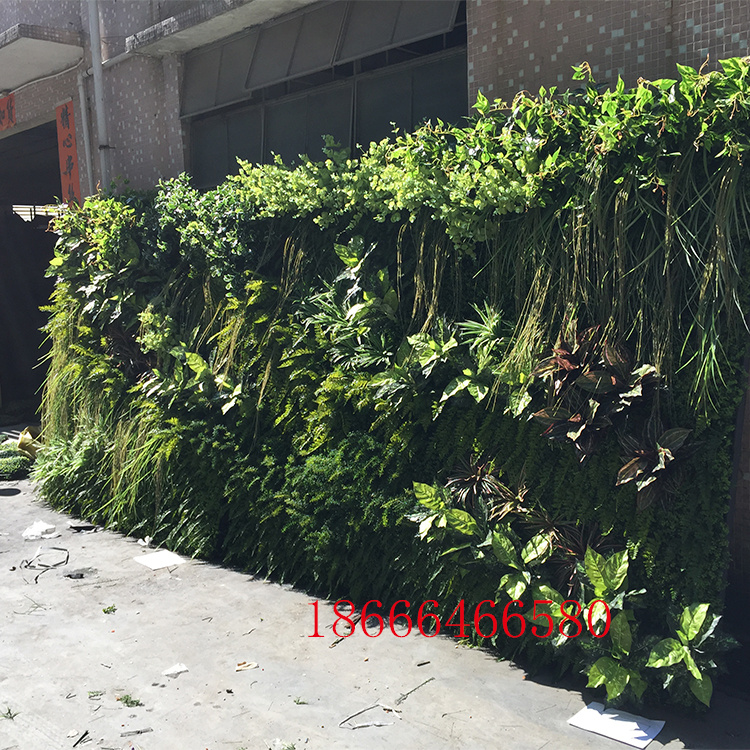 仿真綠植背景墻 塑料假草皮植物墻 仿真植物墻 廠家定做批發(fā) 室內(nèi)外仿真植物墻
