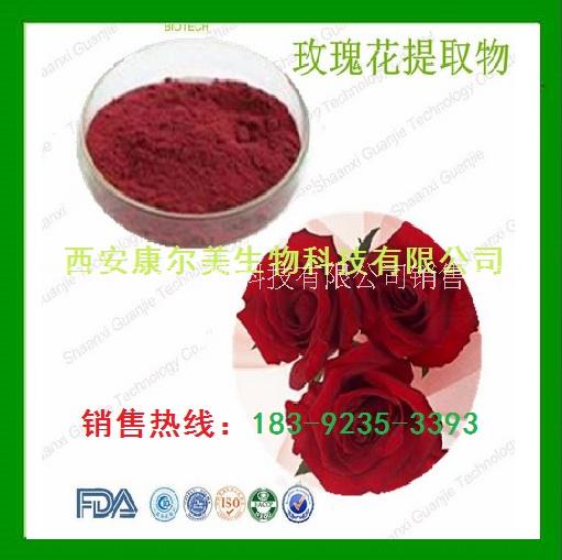 玫瑰花提取物  玫瑰花養(yǎng)顏美容提 優(yōu)質(zhì)玫瑰花提取物