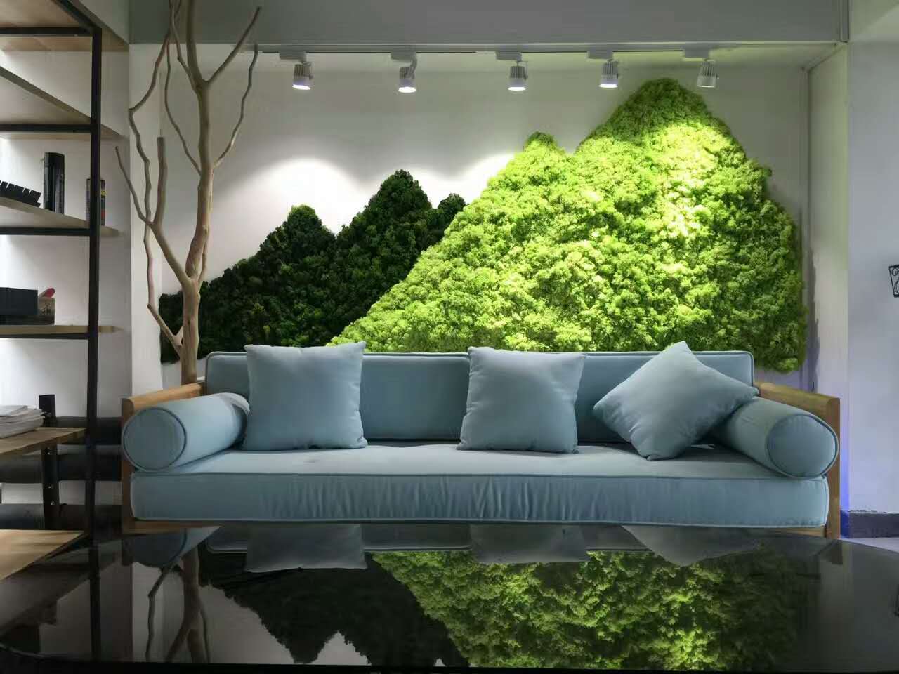 西安植物墻綠植墻專業(yè)設(shè)計施工維護(hù)