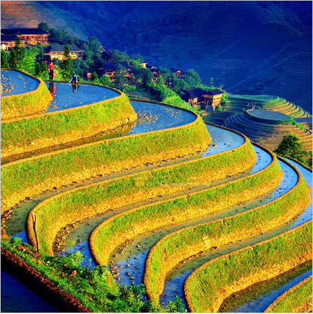 桂林旅游租車|桂林商務(wù)包車|桂林長(zhǎng)短途包車 陽(yáng)朔旅游租車 廣西旅游租車