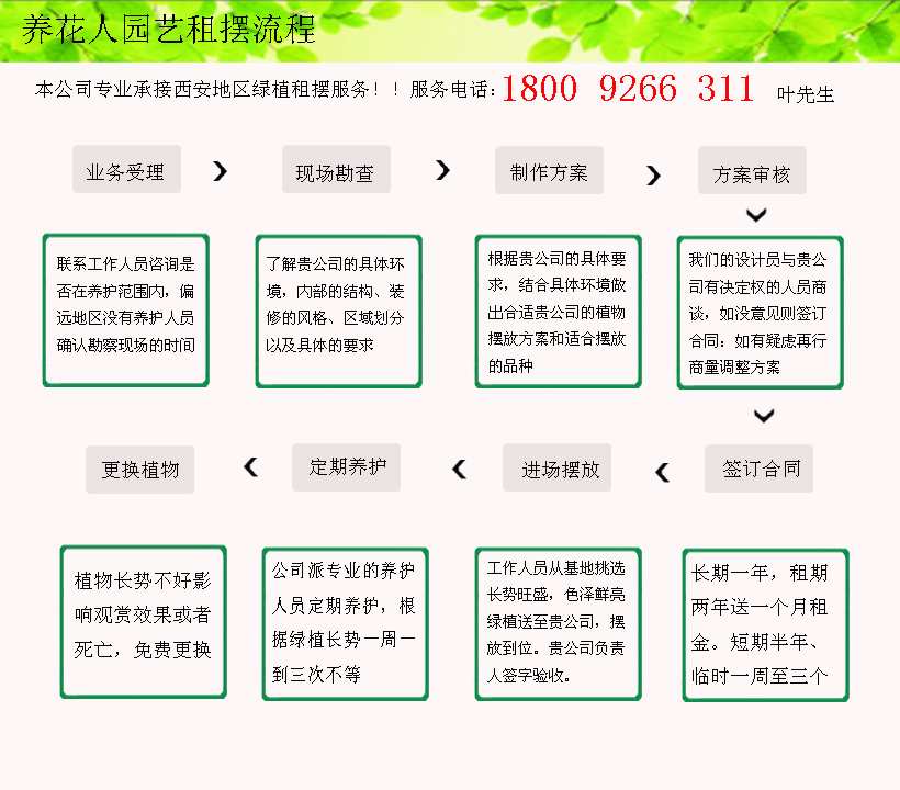 西安花卉公司