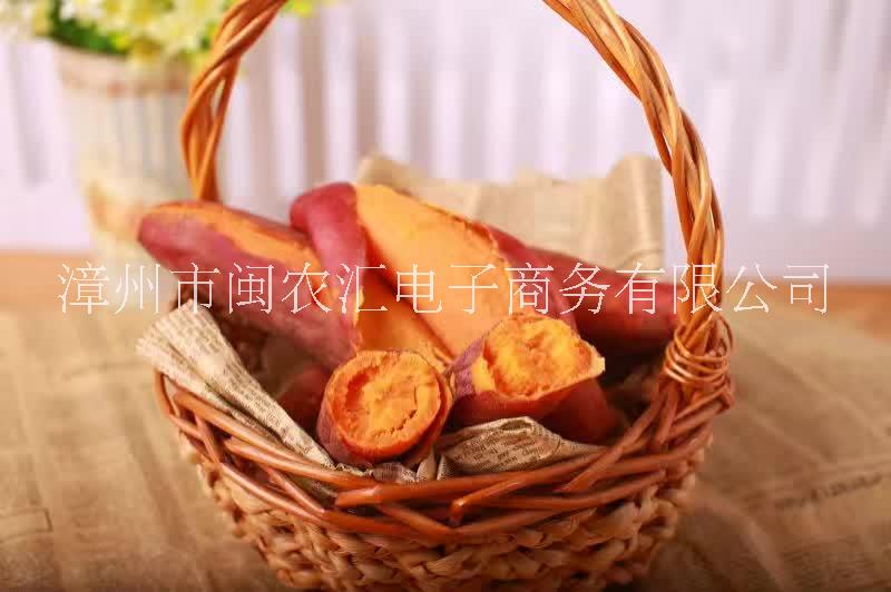 福建漳浦六鰲沙地紅心紅薯 富硒甜