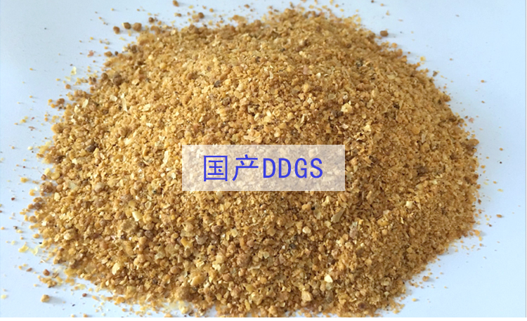 DDGS 石家莊DDGS,玉米蛋* DDGS廠家直銷