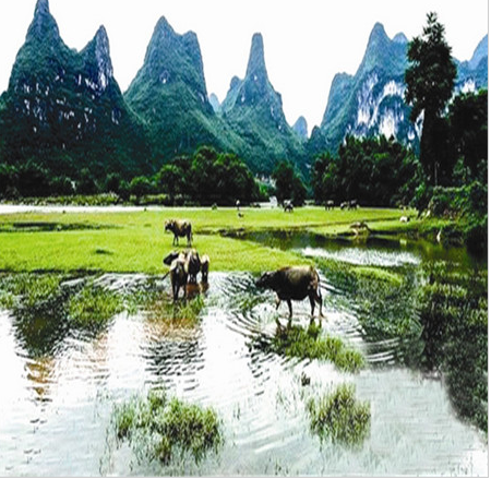 桂林旅游租車|桂林商務(wù)包車|桂林長(zhǎng)短途包車 陽(yáng)朔旅游租車 廣西旅游租車