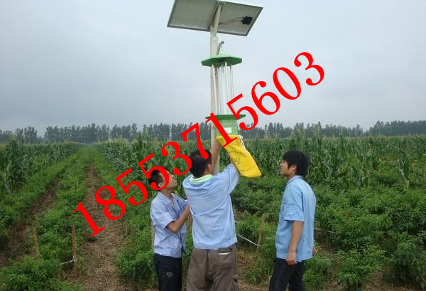 太陽能頻振式殺蟲燈 山東唯信科技太陽能頻振式殺蟲燈