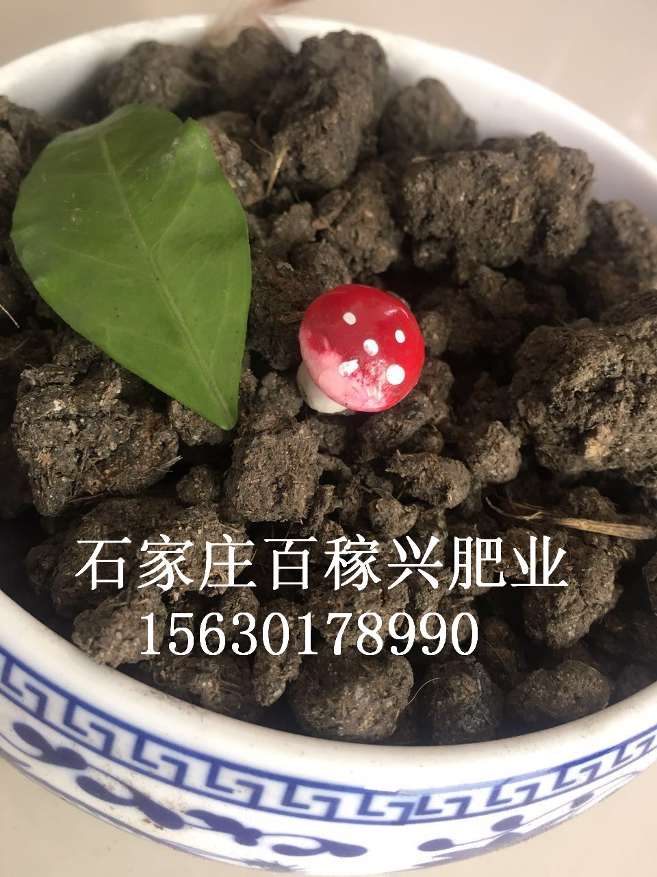 純干雞糞顆粒  水泥地面自然晾曬  肥效* 改良土壤