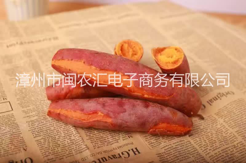 福建漳浦六鰲沙地紅心紅薯 富硒甜