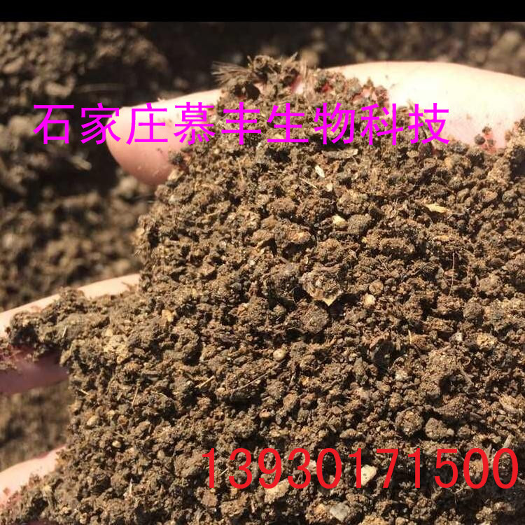 純干牛糞塊廠家大量出售腐熟發(fā)酵有機(jī)肥 發(fā)酵牛糞 生物有機(jī)肥