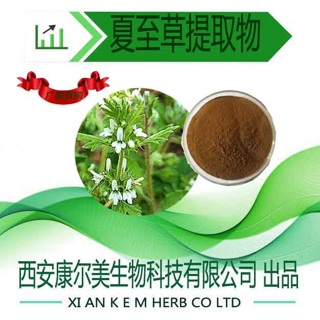 夏至草提取物