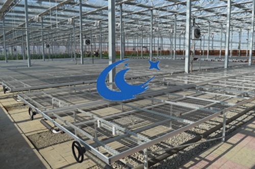 苗床廠家-移動(dòng)苗床-自動(dòng)苗床