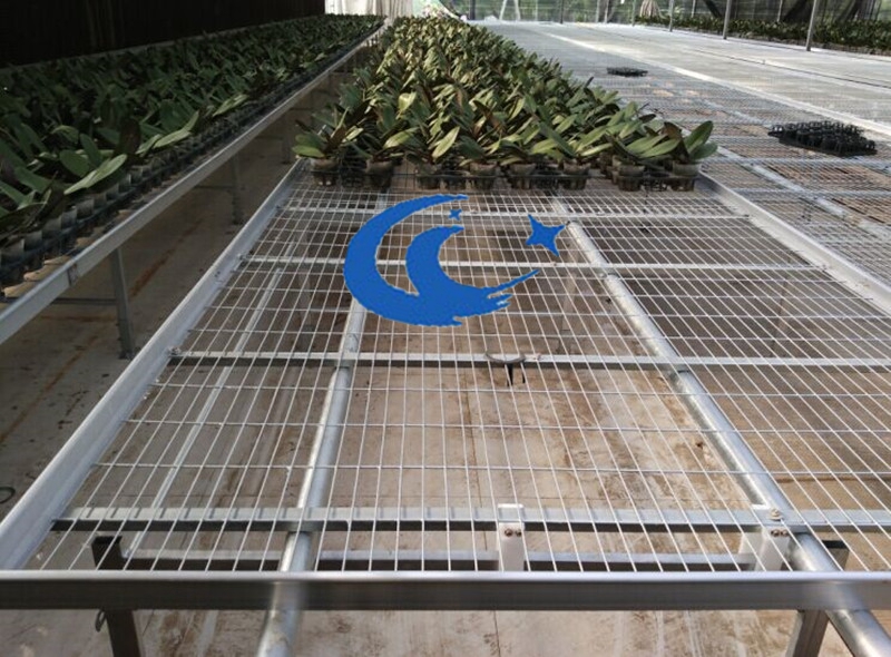 移動苗床批發(fā)廠家-河北博超苗床金