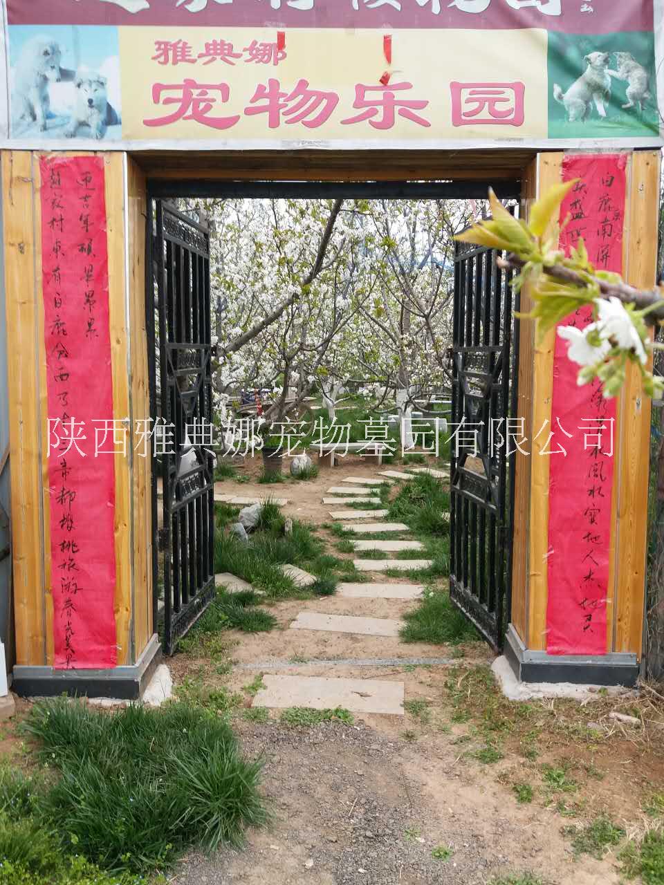 狗狗去世了怎么處理？雅典娜寵物墓園