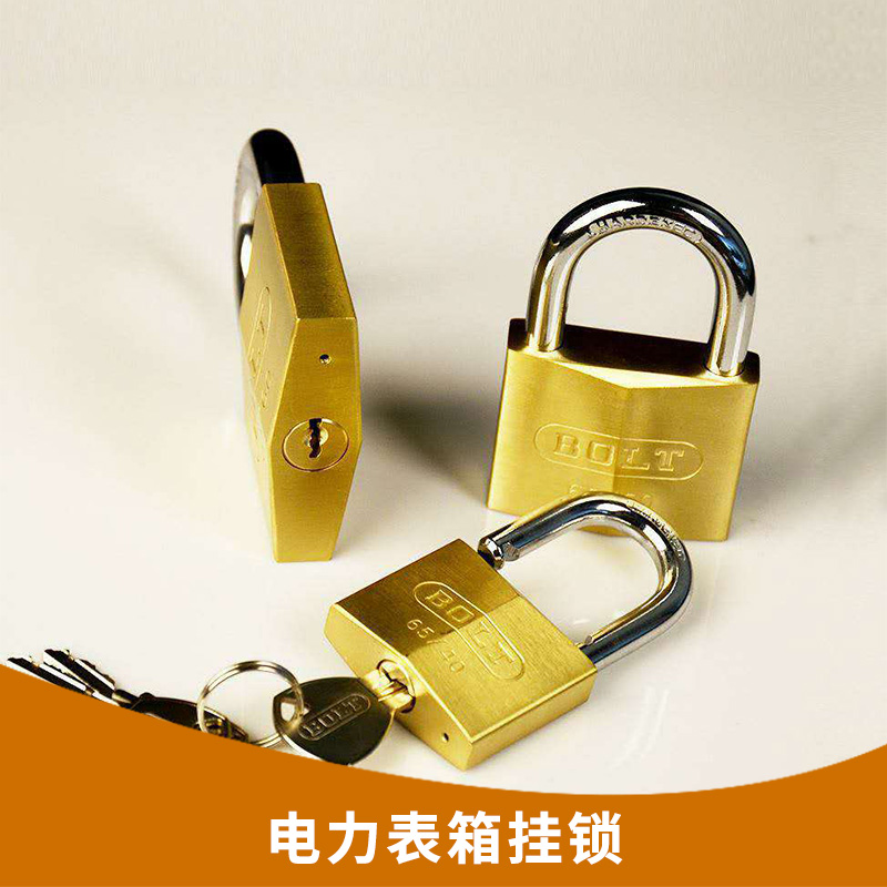 專業(yè)供應(yīng)防水防銹防盜防撬掛鎖 電力表箱掛鎖 廠家直銷