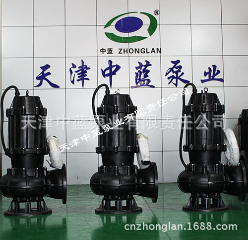 大流量排污泵/排污泵價格