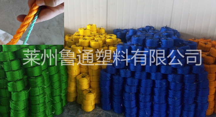 廠家專業(yè)生產(chǎn)優(yōu)質塑料制繩機