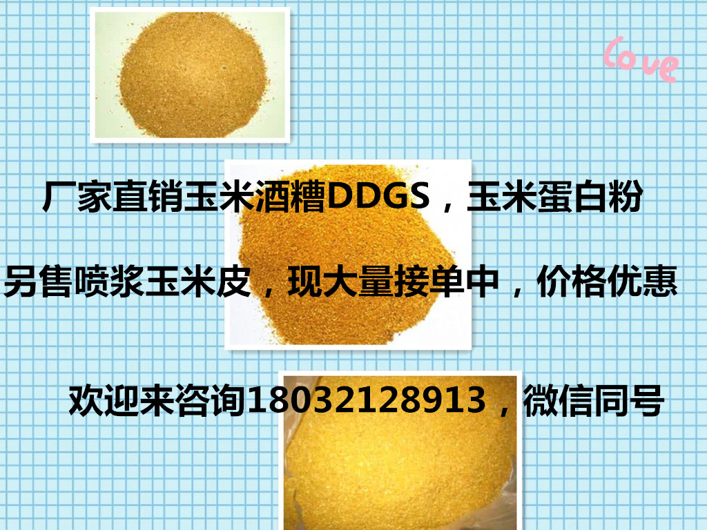 玉米副產(chǎn)品  優(yōu)質(zhì)的DDGS    山東DDGS