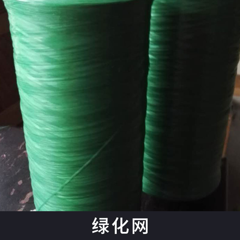 熱塑性樹脂防水土流失護(hù)坡綠化網(wǎng)批發(fā)植被土壤固土三維網(wǎng)土工網(wǎng)墊