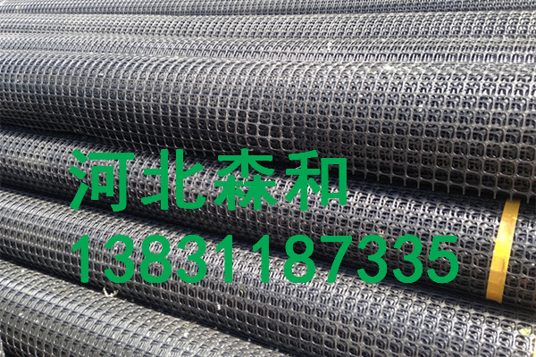 河北森和塑料拉伸網(wǎng),假頂網(wǎng)護(hù)幫網(wǎng),專業(yè)化生產(chǎn),質(zhì)優(yōu)價廉