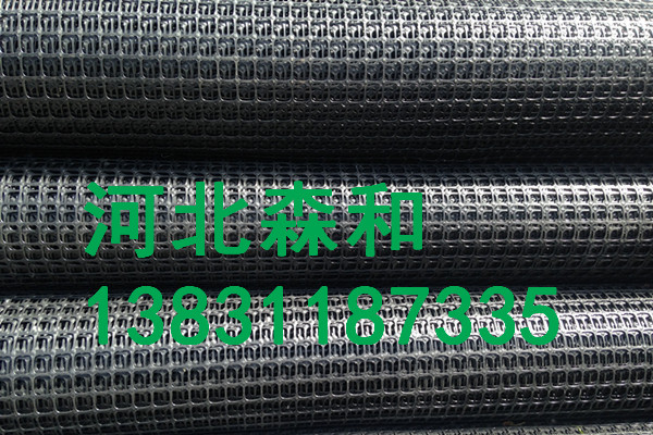 河北森和塑料拉伸網(wǎng),假頂網(wǎng)護(hù)幫網(wǎng),專業(yè)化生產(chǎn),質(zhì)優(yōu)價廉