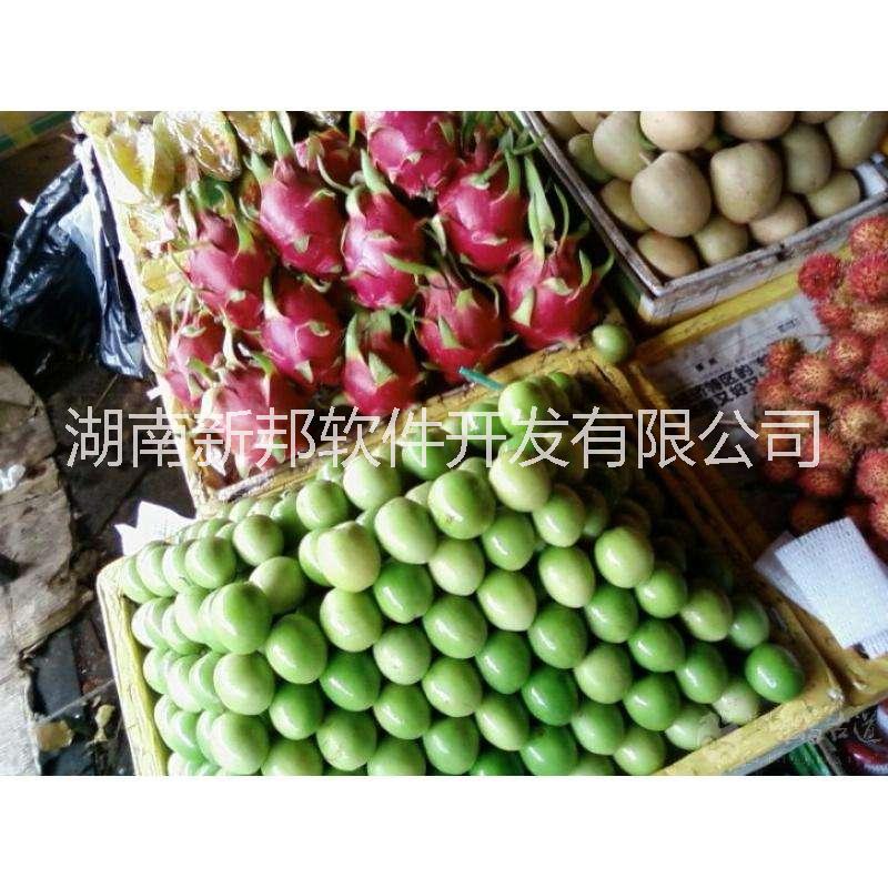 新邦冷庫(kù)保鮮管理系統(tǒng)標(biāo)準(zhǔn)版新邦冷庫(kù)保鮮管理系統(tǒng)標(biāo)準(zhǔn)版