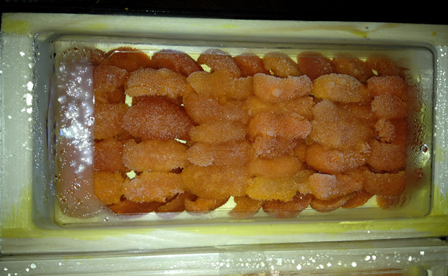 朝鮮板蟹供應商、朝鮮海鮮批發(fā)商 紅毛蟹供應商 朝鮮板蟹