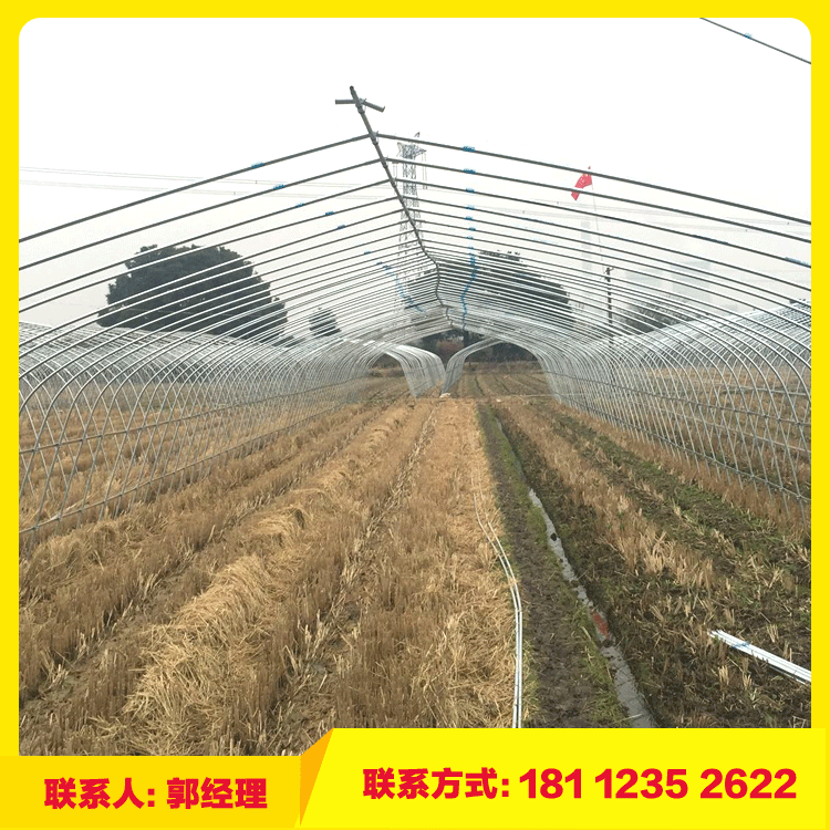 簡易連棟大棚骨架桔子大棚 葡萄避雨棚 安裝桔子大棚 葡萄大棚