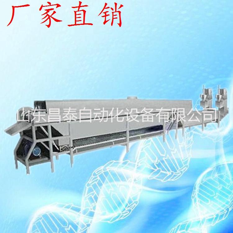 丸子生產線，全套丸子生產線