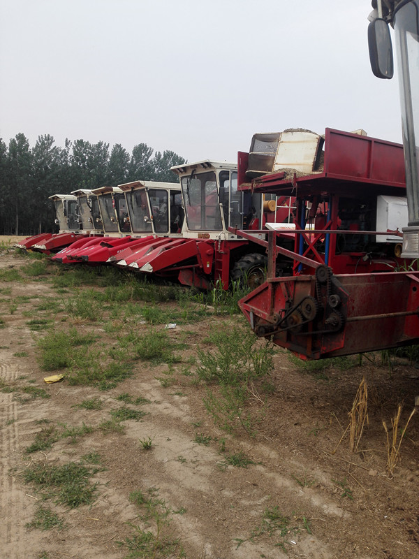 哪里有全自動自走式 玉米秸稈青黃儲機秸稈青儲機價格及報價