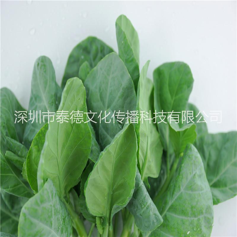 泰德寶島菜園 芥蘭 約250g