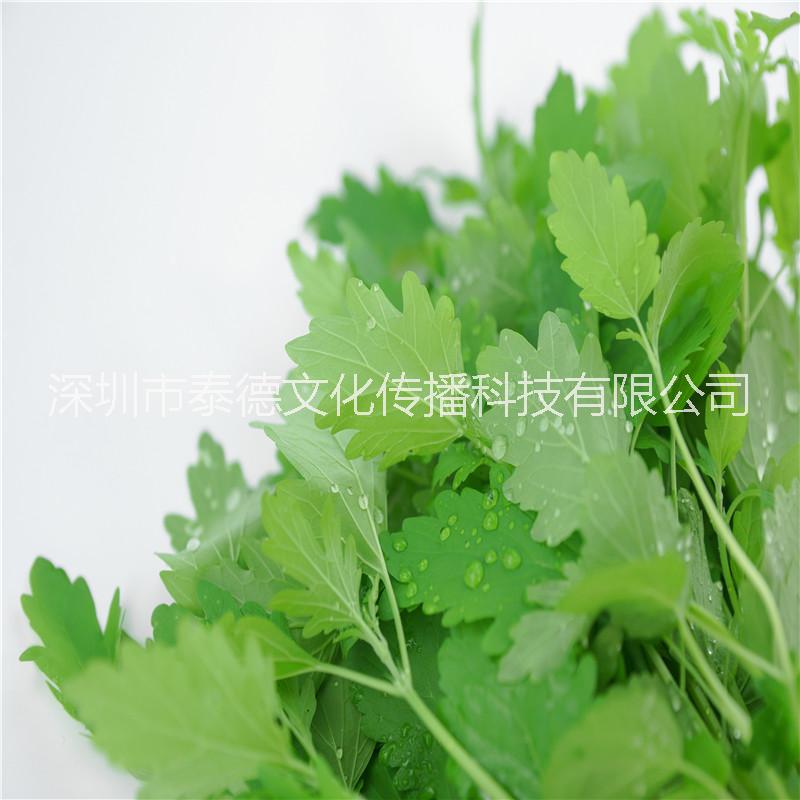 泰德寶島菜園 益母草 約150g
