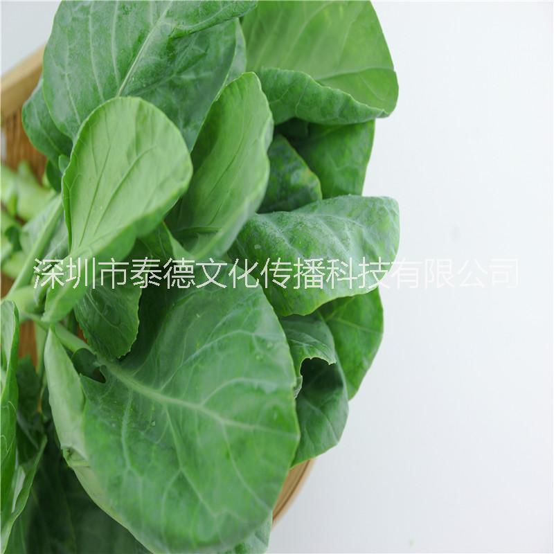 泰德寶島菜園 芥蘭 約250g