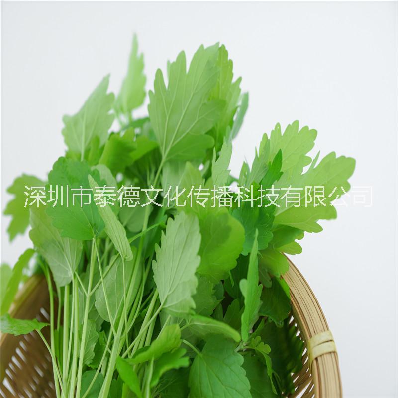 泰德寶島菜園 益母草 約150g