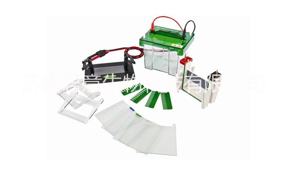 雙垂直電泳儀@雙垂直電泳槽@雙垂直電泳儀廠家@雙垂直電泳槽價格