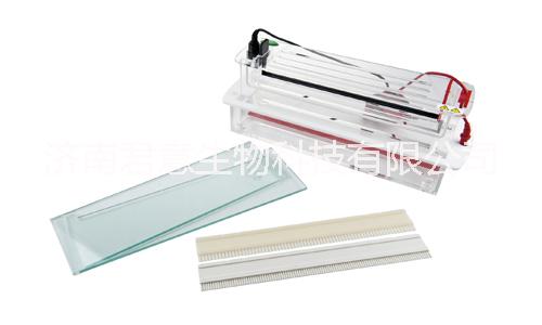 雙垂直電泳儀@雙垂直電泳槽@雙垂直電泳儀廠家@雙垂直電泳槽價格