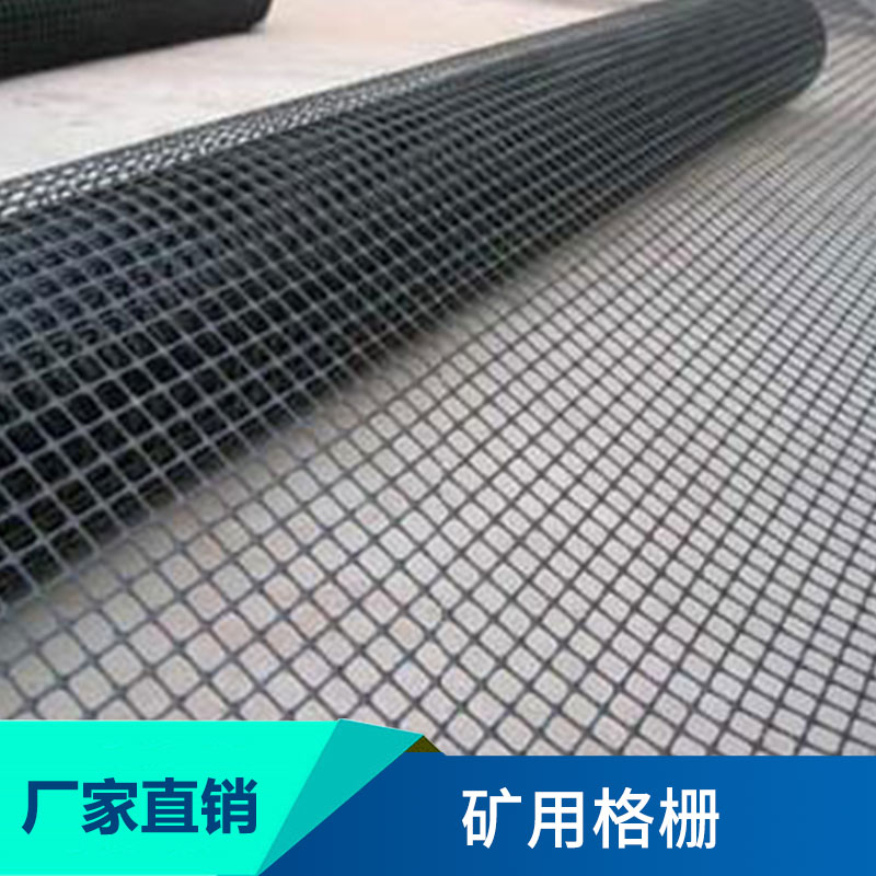 泰安九洲土工材料礦用格柵煤礦井巷道支護(hù)護(hù)幫土工格柵護(hù)幫網(wǎng)批發(fā)
