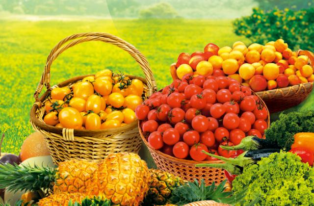 眉山營銷策劃品牌策劃VI設計公司