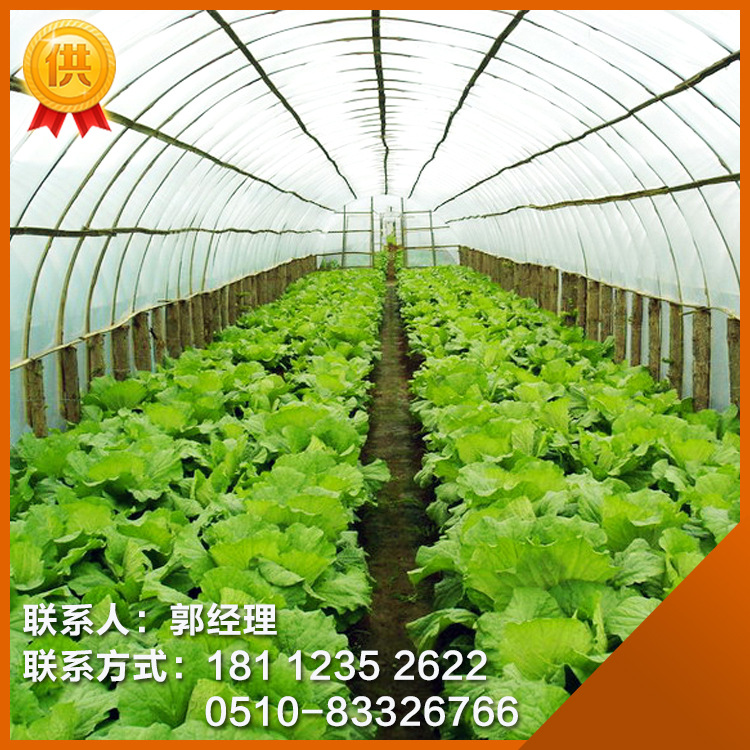 安徽大棚鋼管根據(jù)客戶需求可定做長度 熱鍍鋅鋼管4分6分1寸等