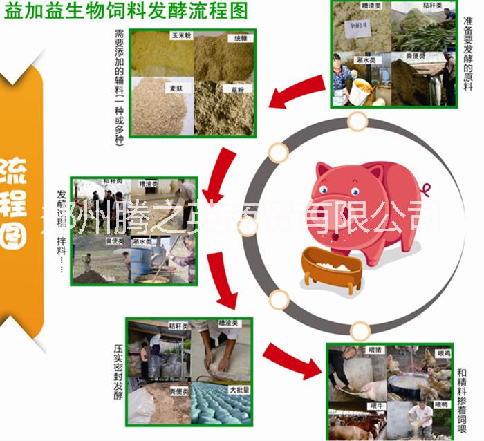 益加益豆渣發(fā)酵劑怎么賣的價(jià)格多少