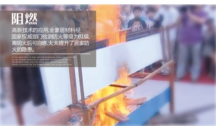 桐佳藝整屋快裝木塑門