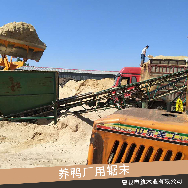 曹縣申航木業(yè)養(yǎng)鴨廠用鋸末批發(fā)發(fā)酵床養(yǎng)鴨用em菌種墊料鋸末木屑