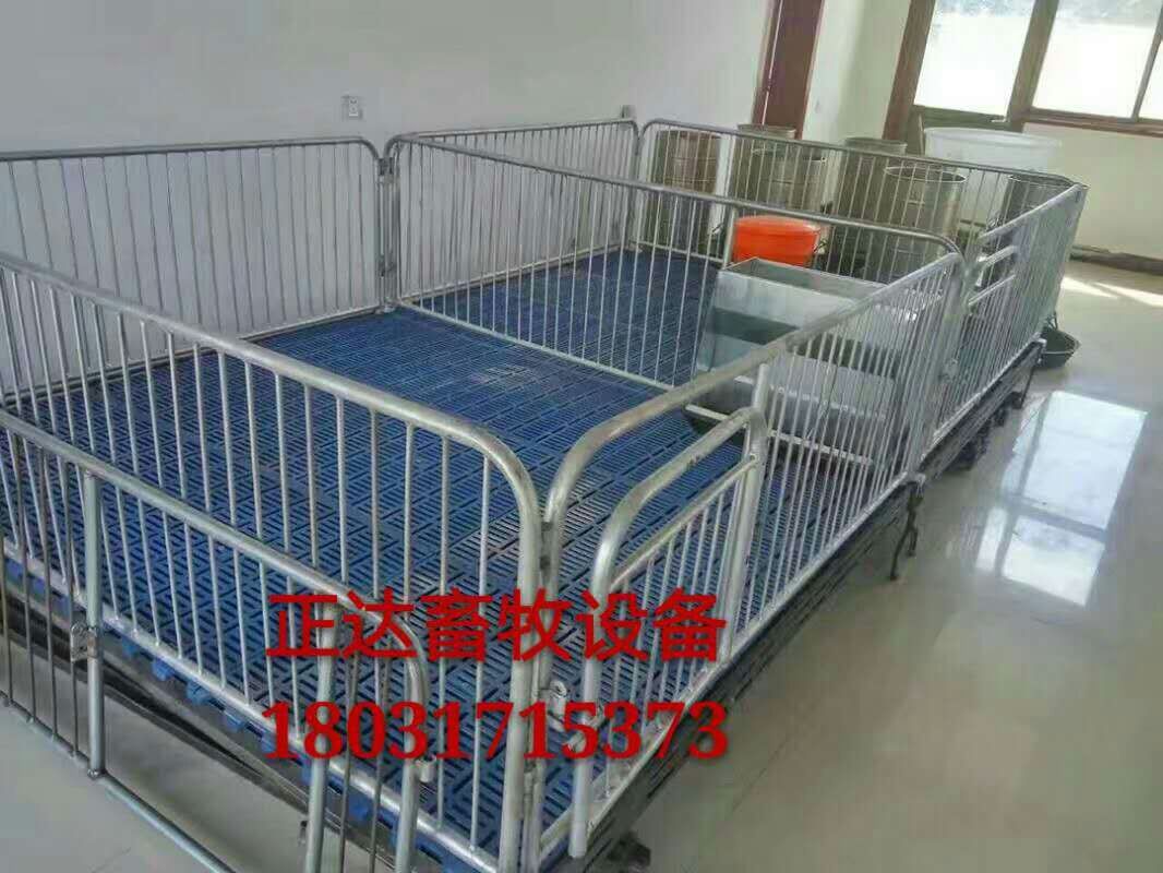 母豬保育床漏糞板仔豬保育床鍍鋅管材質(zhì)不生銹