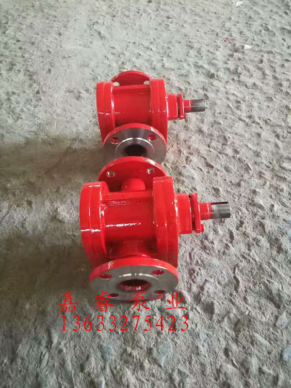 滄州嘉睿泵業(yè)供應(yīng)優(yōu)質(zhì)2CG系列高溫泵 轉(zhuǎn)子泵