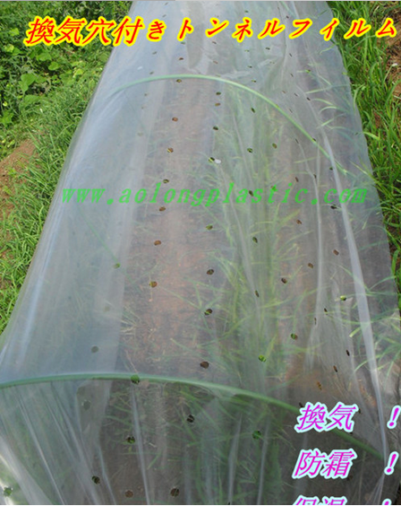 供應(yīng)塑料小棚膜、打孔小棚膜、菜園用隧道小棚膜