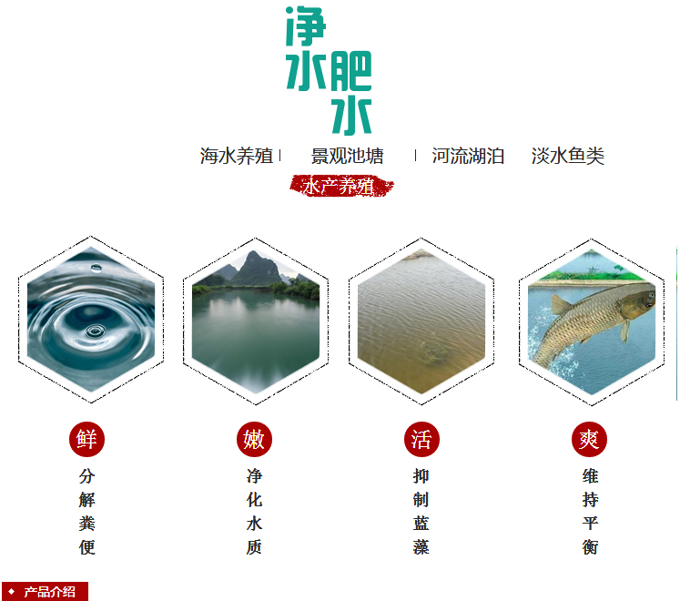 全國*綠隴生物凈水微生物菌劑