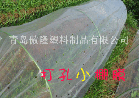 供應(yīng)塑料隧道棚膜/PE打孔塑料小棚膜