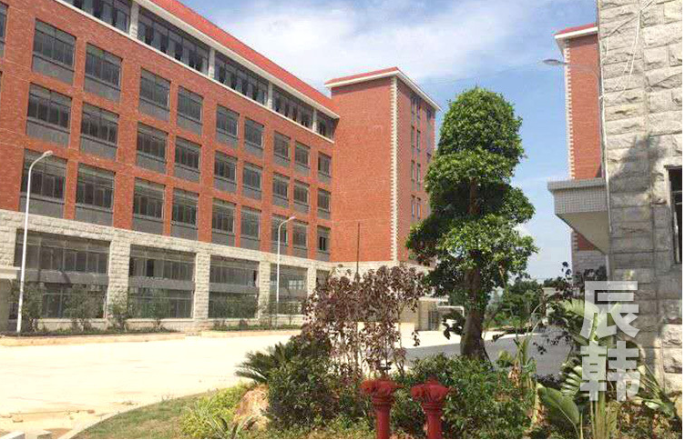 保顏村代餐果凍