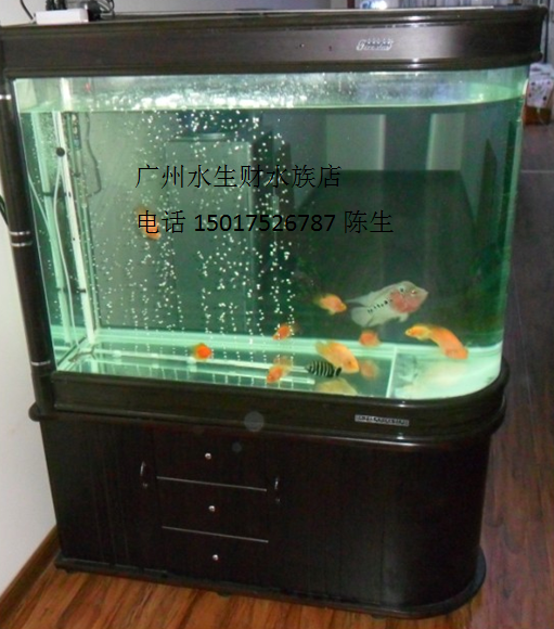 廣州辦公室魚缸設(shè)計(jì)，荔灣酒店魚缸