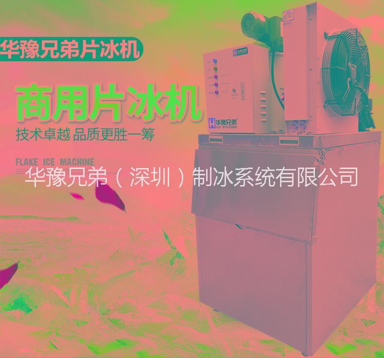 自助餐片冰機(jī) 200公斤片冰機(jī)